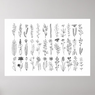Flowers And Herbs Ink Drawing Poster