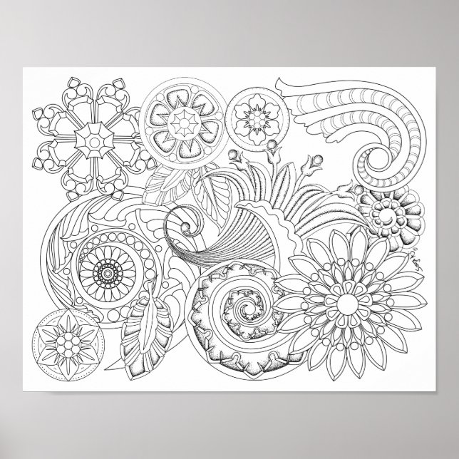 Flowers and Spirals : DIY Coloring Poster (Devant)