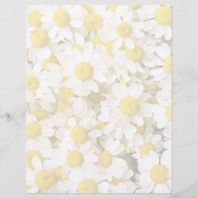 Flowers (homonymie) | Bunch of Chamomiles (Devant)