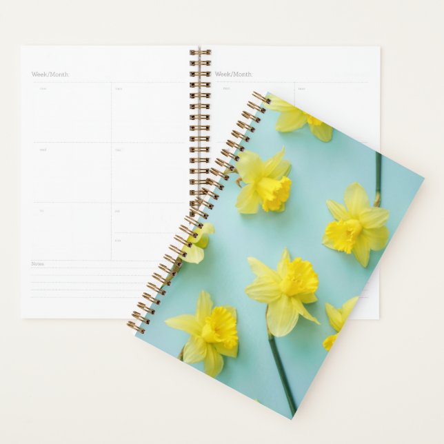 Flowers (homonymie) | Daffodils (Devant avec enveloppe)