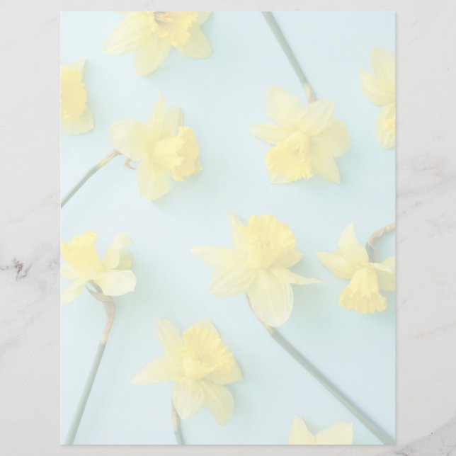 Flowers (homonymie) | Daffodils (Devant)