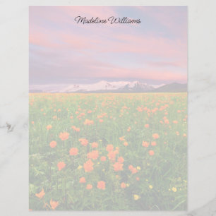 Flowers (homonymie) Fayot Field Snowcapped Mount