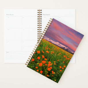 Flowers (homonymie)   Fayot Field Snowcapped Mount
