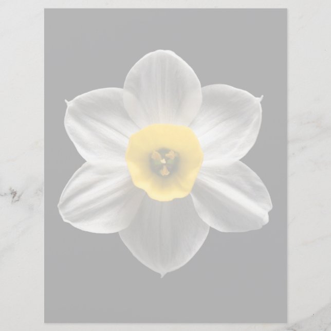 Flowers (homonymie) Flower blanc (Devant)