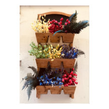 Flowers on the Wall in Nice Photography Poster