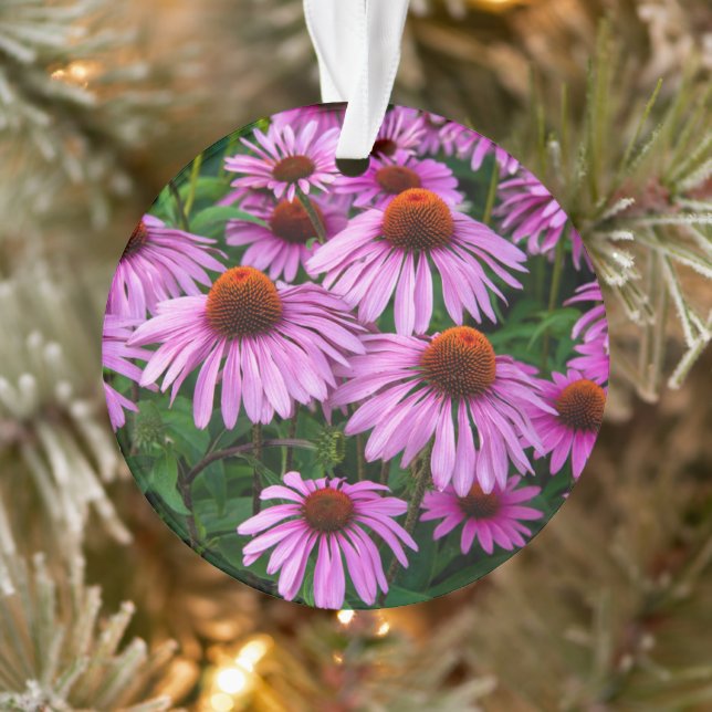 Flowers | Pink Coneflower Garden (Arbre)