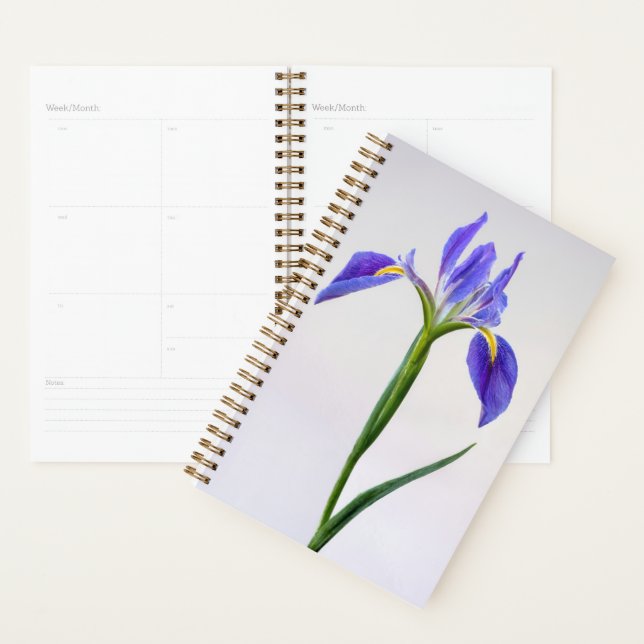 Flowers | Purple Iris Flower (Devant avec enveloppe)