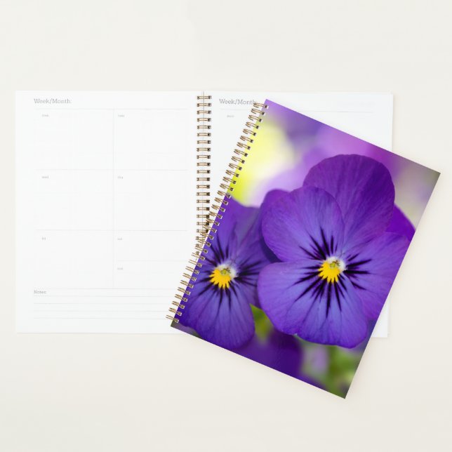 Flowers | Purple Pansies (Devant avec enveloppe)