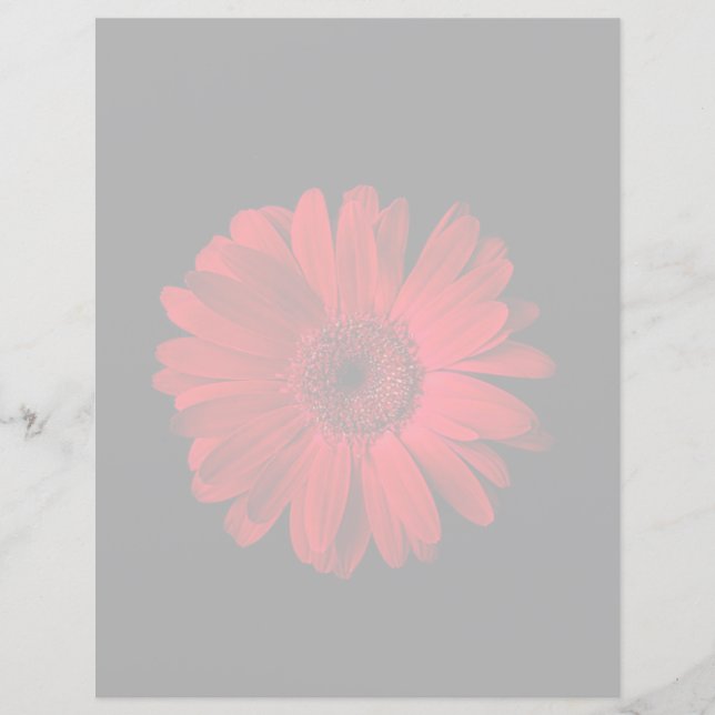 Flowers | Red Gerbera Daisy (Devant)