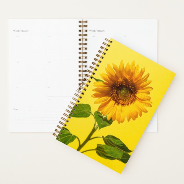 Flowers | Sunflower on Yellow (Devant avec enveloppe)