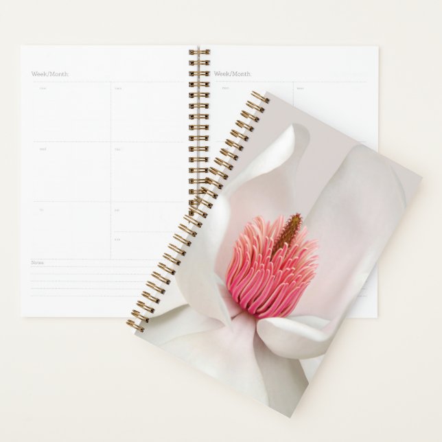 Flowers | White Magnolia (Devant avec enveloppe)