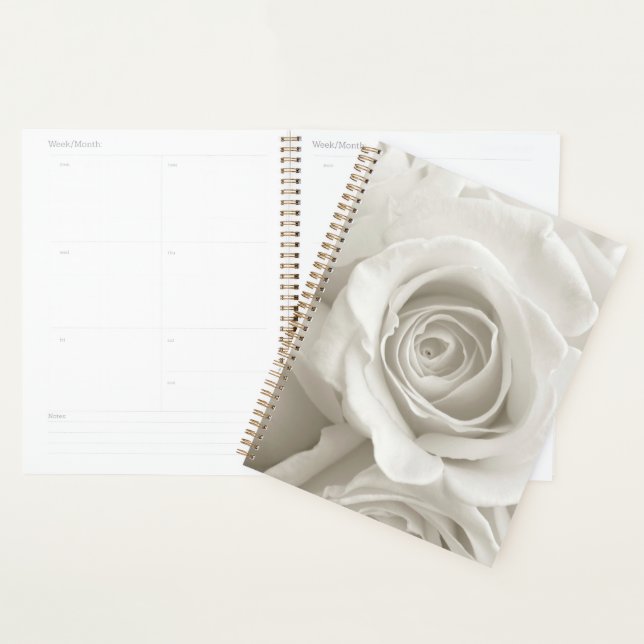 Flowers | White Roses (Devant avec enveloppe)