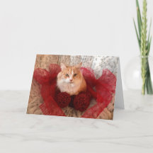 Fluffy Cat et Red Ribbon Carte de voeux