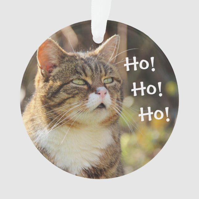 Fluffy Chat Noël mignonne (devant)