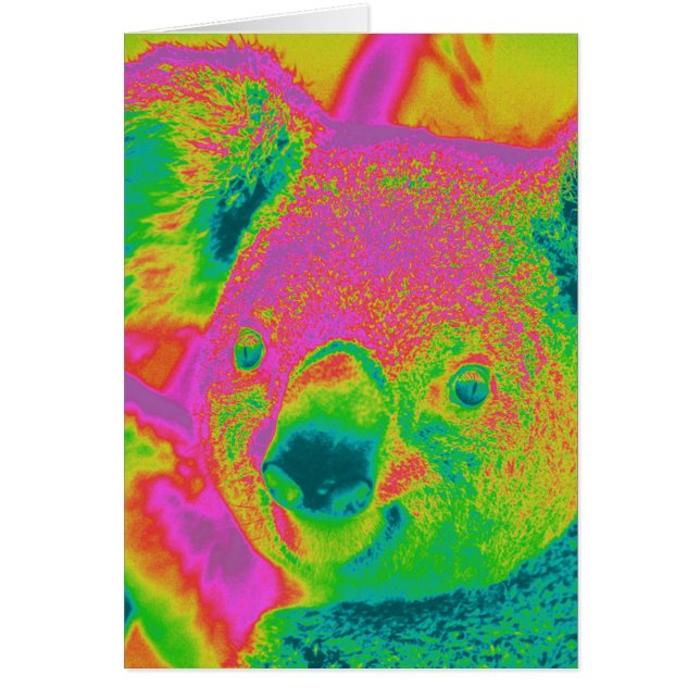 fluorescent koars bears (Devant)