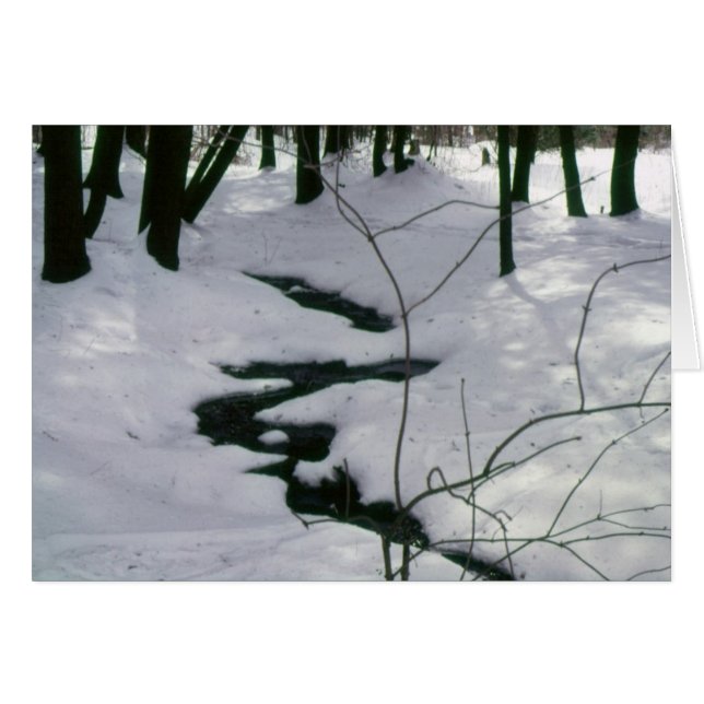 Flux d'hiver (Devant horizontal)