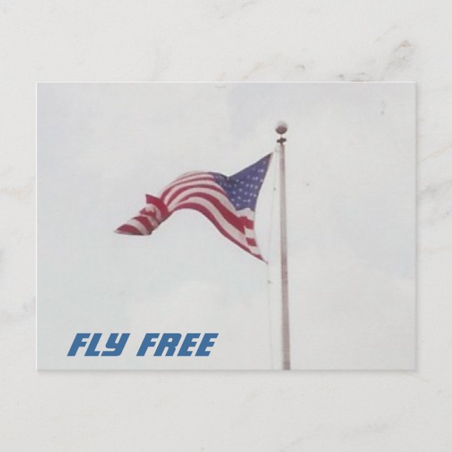 Fly Free USA Drapeau - carte postale (Devant)