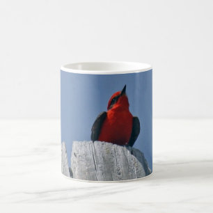 FLYCATCHER vermeil contre la tasse de café de cie
