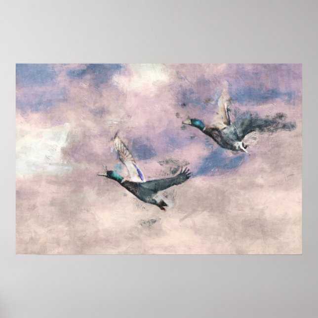 Flying Ducks Poster (Devant)
