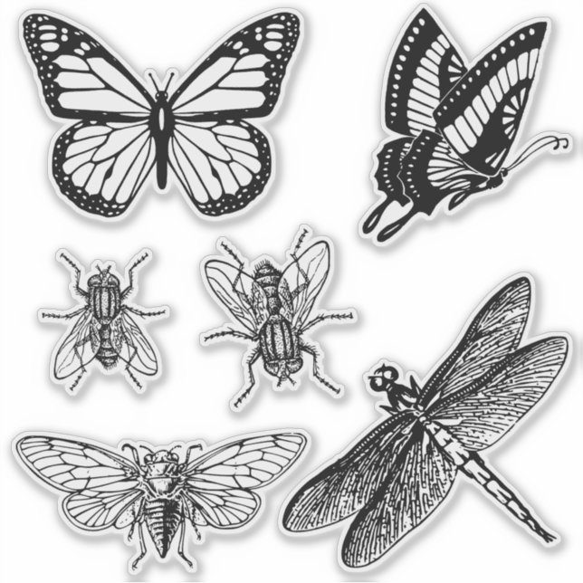 Flying insects transparent stickers (Devant)