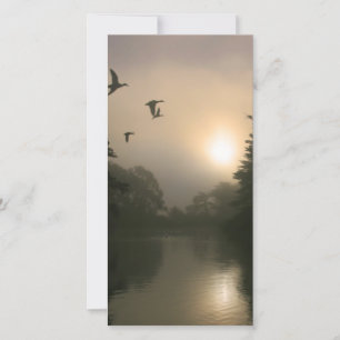 Flying Mallards and Morning Fog