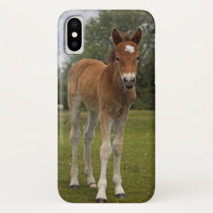 Foal iPhone X Coque