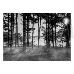 Foggy Arbres À Niveaux De Gris De Table Rock