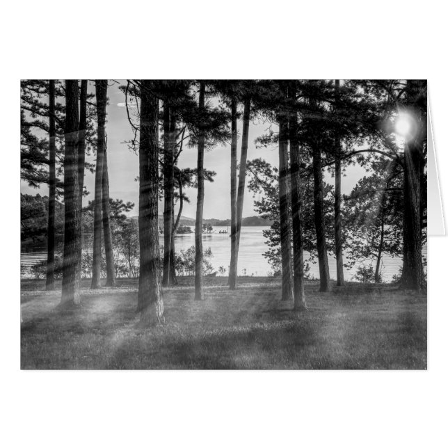 Foggy Arbres À Niveaux De Gris De Table Rock (Devant horizontal)