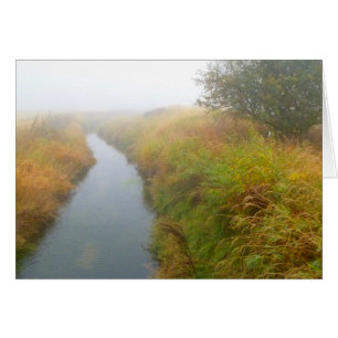 Foggy creek 2