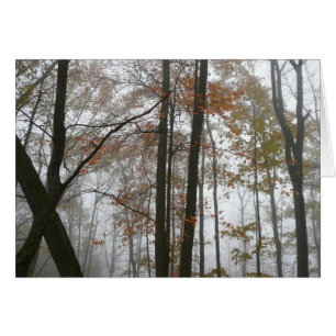 Foggy Fall en Pennsylvanie Automne Nature