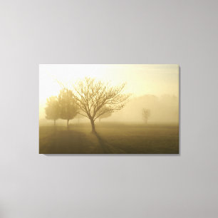 Foggy Misty Morning dans la toile d'Ozarks