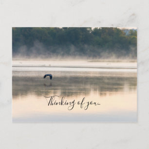 Foggy Morning Vol Penser De Vous Carte Postale