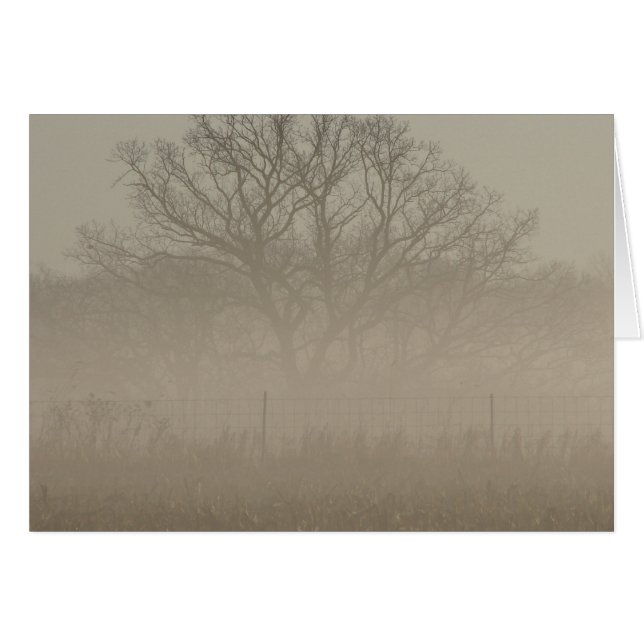 Foggy Tree (Devant horizontal)