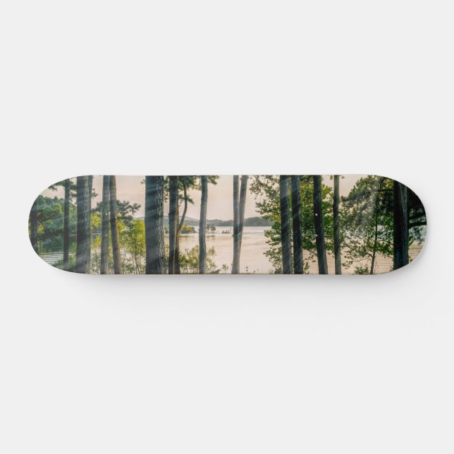 Foggy Trees À Table Rock Skateboard (Horz)