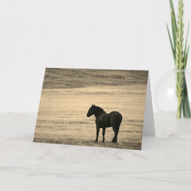 Folded Note Card Black Stallion ONAQUI HERD UTAH (Devant)