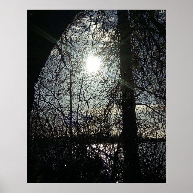 FollowTheLight Print, Value Poster Paper (Matte) (Devant)