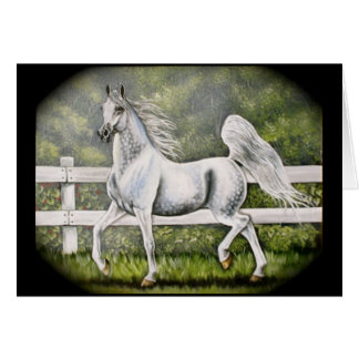 Fonctionnement Arabe gris de cheval