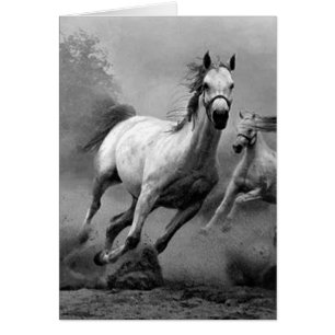 Fonctionnement de cheval