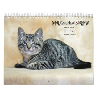 Fondez votre calendrier de Hubble 2019 de Meow de