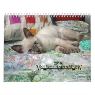 Fondez votre coeur - le calendrier 2016 de chaton