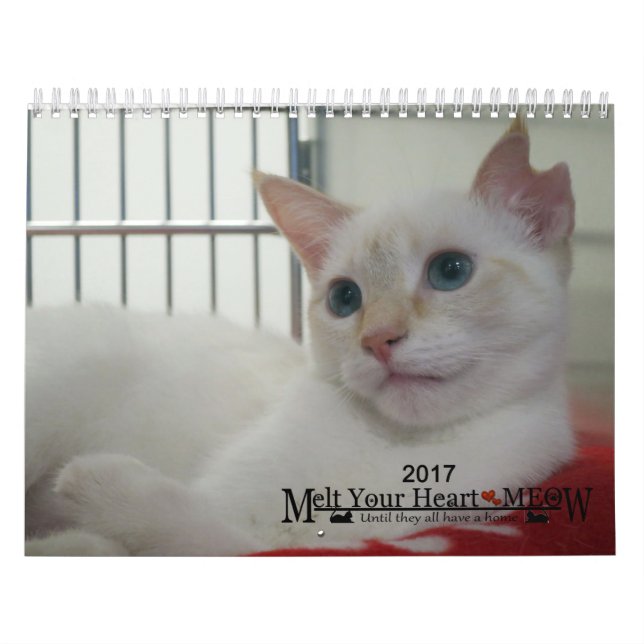 Fondez votre coeur - le calendrier 2017 de chaton (Protection)