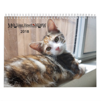 Fondez votre coeur - le calendrier 2018 de chaton