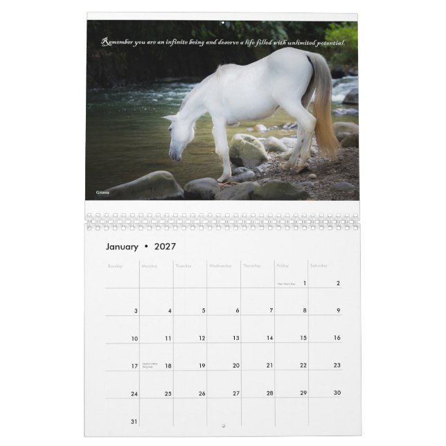 Fonds - calendrier Salvando Corazones 2015 (Jan 2027)