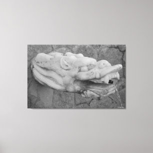 Fontaine de dragon toile étirée