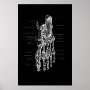 Foot Anatomy Medical Poster 24x36"