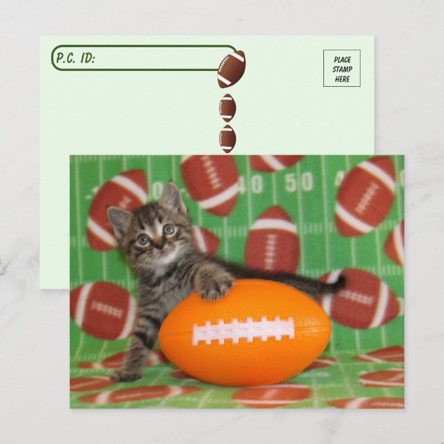 Football - Carte postale Chat (Devant / Derrière)