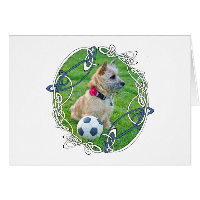 Football pour Terrier Cairn (Devant horizontal)