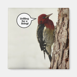 Forage pour un aimant vivant