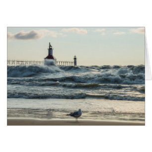 Force derrière la beauté