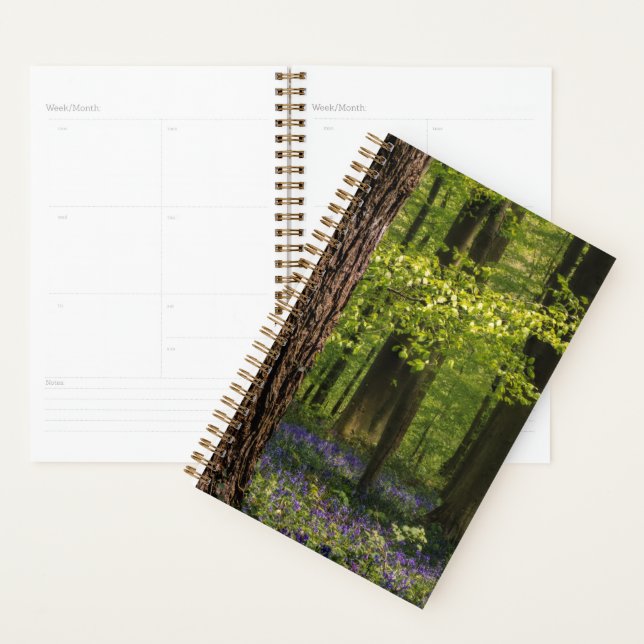 Forest | Bluebells en Belgique (Devant avec enveloppe)